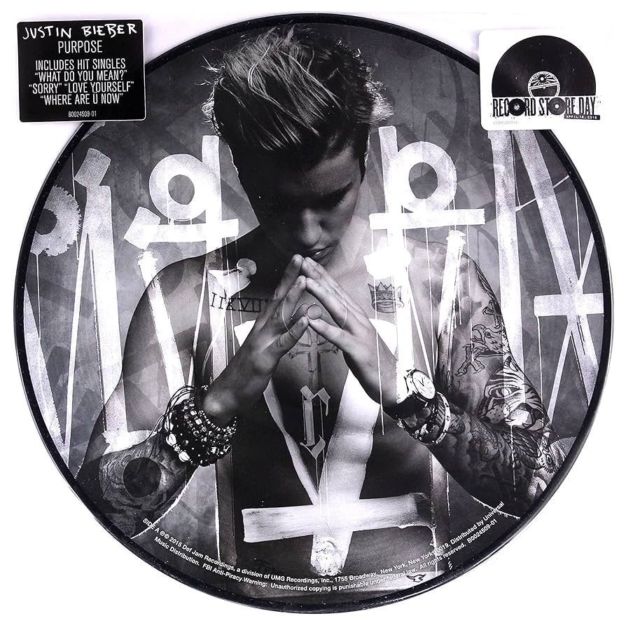 Purpose (Vinyl): Amazon.ca: Music